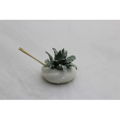 Profumatore con Piantina Aloe in Porcellana - Eleganza Compatta