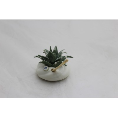 Profumatore con Piantina Aloe in Porcellana - Eleganza Compatta