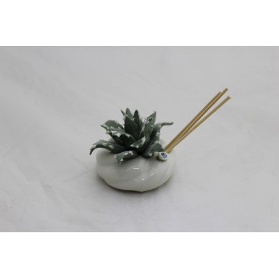 Profumatore con Piantina Aloe in Porcellana - Eleganza Compatta
