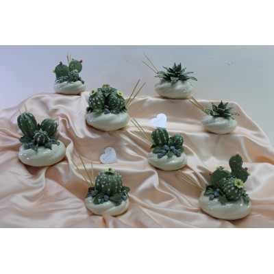 Profumatore con Piantina Aloe in Porcellana - Eleganza Compatta
