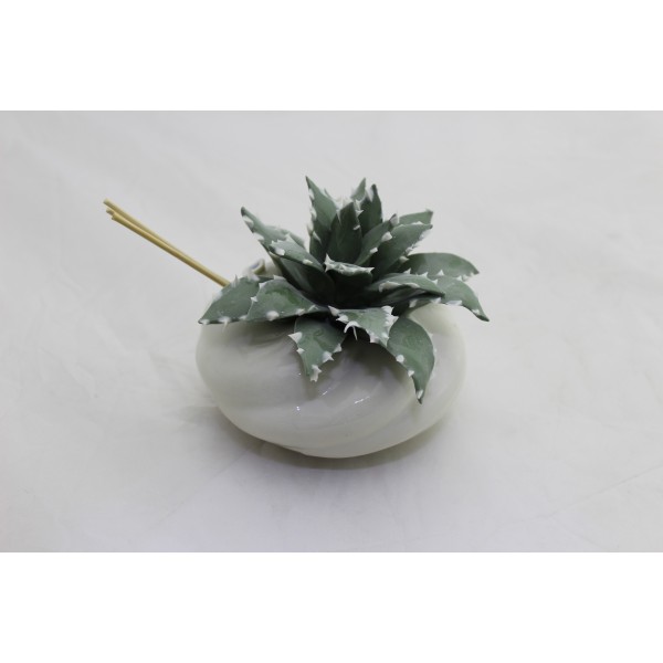 Profumatore con Piantina Aloe in Porcellana - Eleganza e Raffinatezza